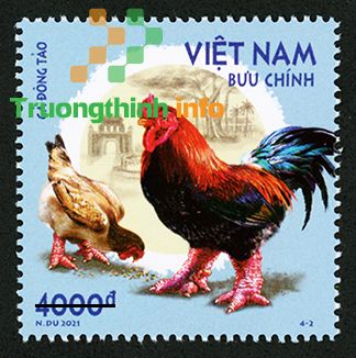 Bộ TT&TT sắp phát hành bộ tem bưu chính “Gà bản địa Việt Nam”