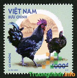 Bộ TT&TT sắp phát hành bộ tem bưu chính “Gà bản địa Việt Nam”