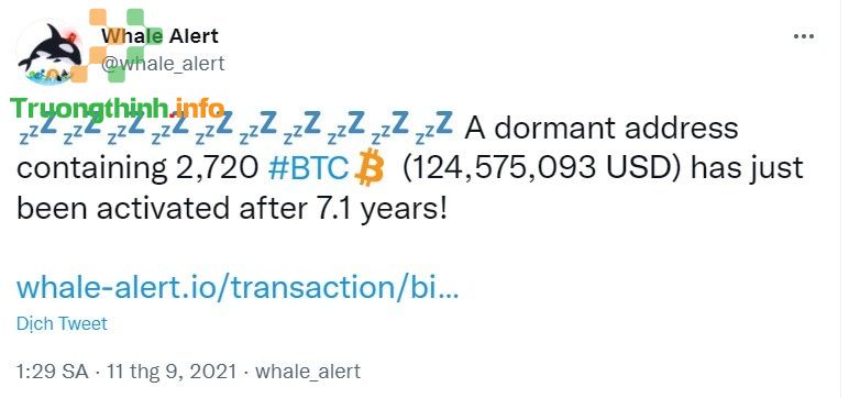 “Cá mập” Bitcoin tỉnh giấc đe dọa thị trường tiền mã hóa?