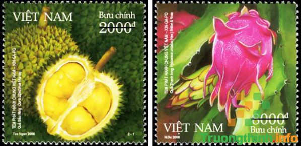 Phát hành bộ tem bưu chính đặc tả quá trình sinh trưởng của cây cà phê